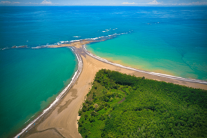Uvita Real Estate